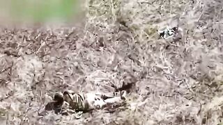 UKRAINIAN SOLDIER SHREDDED BY DRONE