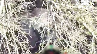 Poor Russian camouflage.