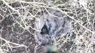 Poor Russian camouflage.