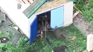 Headshot to a katsap shot in a garage