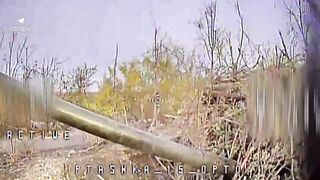 Slaughtering Russians by Phoenix. #15