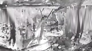 Slaughtering Russians by Phoenix. #15