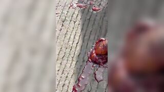 Woman Crushed By Container In Nigeria And Ejected Heart Still Beating  (More Angles)