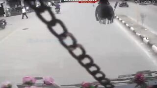 Two Men On Pink And White Moped Hit By Bus, One Dies