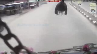 Two Men On Pink And White Moped Hit By Bus, One Dies