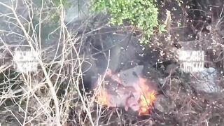 Wounded Ukrat getting a natural tan.