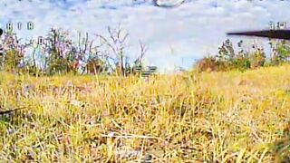 UAF ambush drone destroying ruzky watching a phone on battlefield