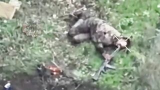 + 6 Russian suicides.