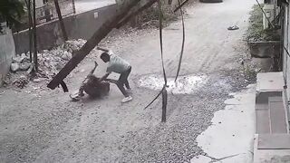 It's A Brutal World (Compilation)