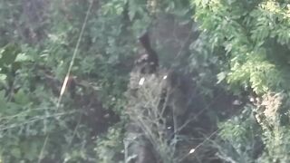 Suicide improvisation: katsap shoot in a grenade on his armor, and succeeed