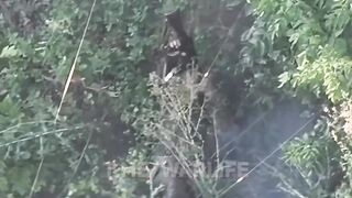 Suicide improvisation: katsap shoot in a grenade on his armor, and succeeed
