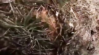 BRITISH MERCENARY TERMINATED BY RUSSIAN DRONES