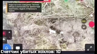Nearly 30 subhumans killed.
