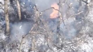 Poor Oinkrainian is disintegrated.
