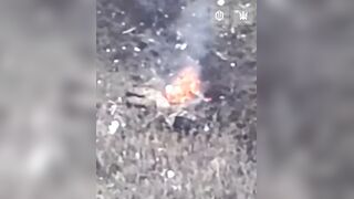 Just another ruzky invader burning in Ukrainian field.