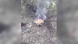 Just another ruzky invader burning in Ukrainian field.