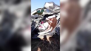 Female Driver Killed In Brutal Crash On BR-108