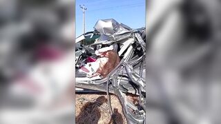 Female Driver Killed In Brutal Crash On BR-108