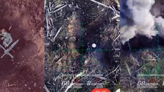 Russian rat was buried in its own burrow.