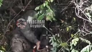 UKRAINE DEATH COMP CLXXVIII