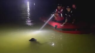 Three students went for a swim in the river, but two of them would never return
