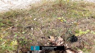 UA SOF car ambush on ruzky scum deep in frontline, taking intel and tropheys