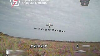 Dead Russians by 5th Brigade. #7