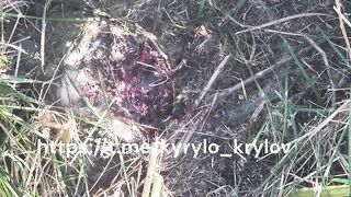 A new compilation of torture and gruesome death for the Russian subhumans, by Kyrylo