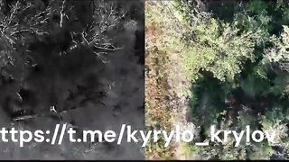 A new compilation of torture and gruesome death for the Russian subhumans, by Kyrylo