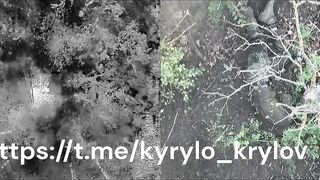 A new compilation of torture and gruesome death for the Russian subhumans, by Kyrylo