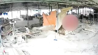 Sawmill Worker Throws Himself On the Sawing Table