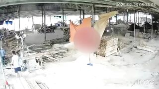 Sawmill Worker Throws Himself On the Sawing Table
