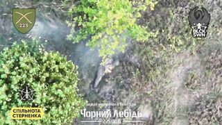 Russian cannon fodder