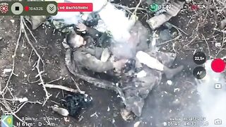 Russian intestines
