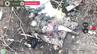 Russian intestines