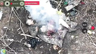 Russian intestines