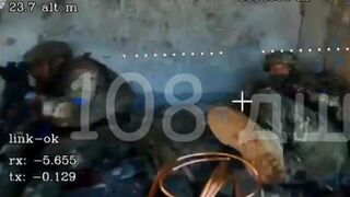 Ukrainians rotting 6 months after their death (Bef/Af)