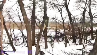 The smartest Ukrainian.