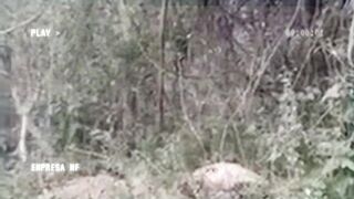 Cartel Released Video Of Execution And Warning To Extortionists