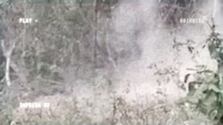 Cartel Released Video Of Execution And Warning To Extortionists