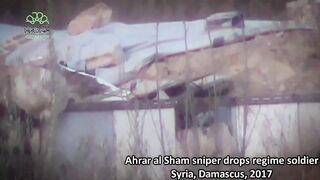 (2017)Sniper Elite