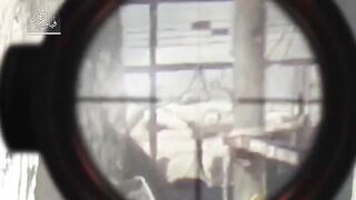 (2017)Sniper Elite