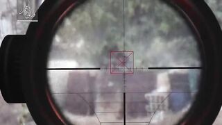 (2017)Sniper Elite