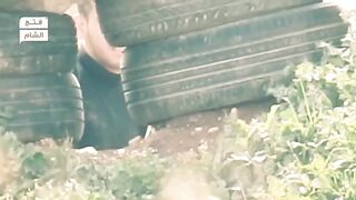 (2017)Sniper Elite