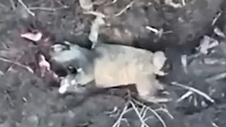 Orc who lost both legs committed suicide using an unexploded drone