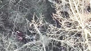Orc who lost both legs committed suicide using an unexploded drone