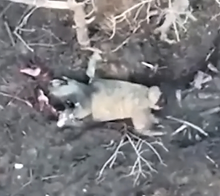 Orc who lost both legs committed suicide using an unexploded drone