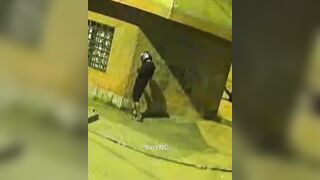 Bad Luck Thug Accidentally Detonates Himself