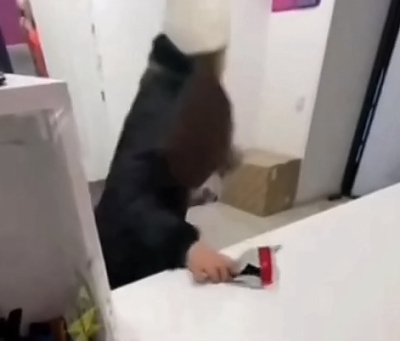 LoL "Theft of the Century" in Russia