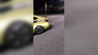 Armed Couple Robbed Locals And Died During A Police Chase